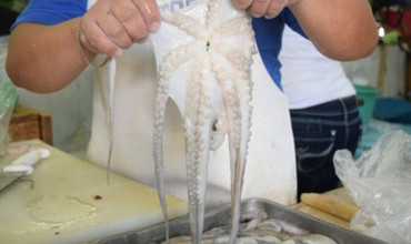 COMERCIALIZADORA DE PESCADOS Y MARISCOS