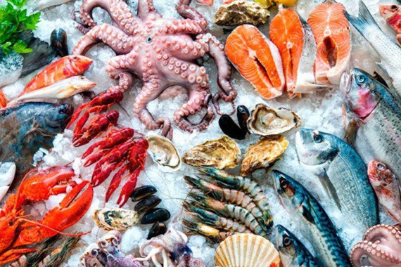 PESCADERIA YILMAR PESCADOS Y MARISCOS POR MAYOREO